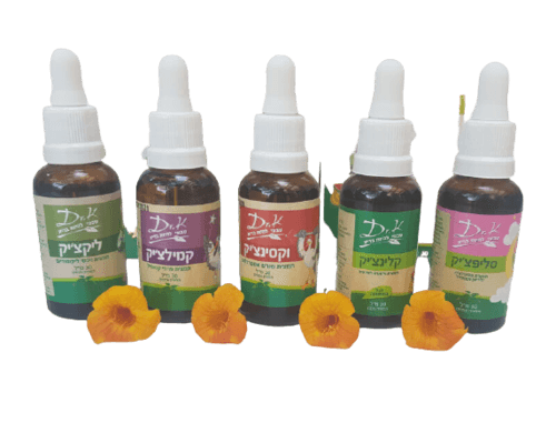 דר קיי הערכה החדשה לשנה הראשונה | מכיל 5 תמציות | Dr K | דר קיי