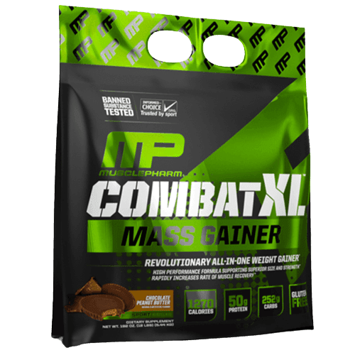 גיינר קומבט XL | טעם שוקולד חמאת בוטנים | מכיל 544 קג | כשר | Combat XL Mass Gainer | מאסל פארם | MusclePharm