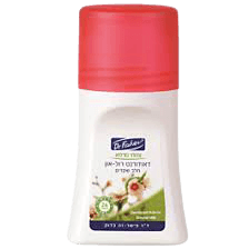 דאודורנט | רול און | צמחי מרפא | שמן שקדים | מכיל 70 גרם | הגנה ל24 שעות | מועשר בויטמין E | דר פישר | Dr Fischer