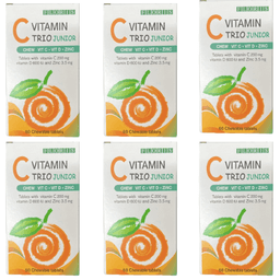 ויטמין C | טריו צעירים | מכיל בנוסף ויטימין D ואבץ | מבצע שישיה | מכיל 60 טלביות ללעיסה | פלוריש הדס | Floris Hadas