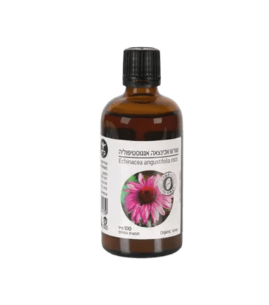 שורש אכינצאה אנגוסטיפוליה | מכיל 100 מל | כשר | Echinacea Angustifolia Root | ברא צמחים | BARA