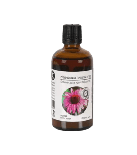 שורש אכינצאה אנגוסטיפוליה | מכיל 100 מל | כשר | Echinacea Angustifolia Root | ברא צמחים | BARA