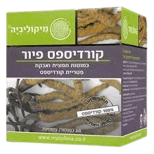 קורדיספס פיור | מכיל 60 כמוסות | כשר פרווה | פטרייה אקזוטית | מיקוליביה | Mycolivia