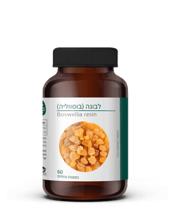 Boswellia resin | לבונה בוסווליה