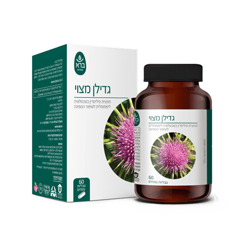 Silybum marianum | גדילן מצוי טבליות