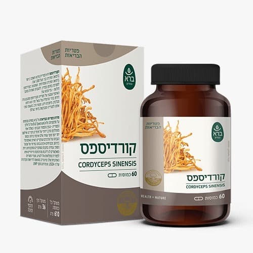 קורדיספס CORDYCEPS SINENSIS | מכיל 60 כמוסות | ברא צמחים | BARA