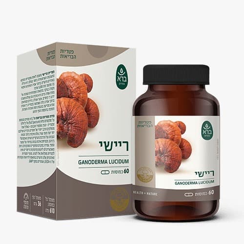 ריישי GANODERMA LUCIDUM | מכיל 60 כמוסות | ברא צמחים | BARA