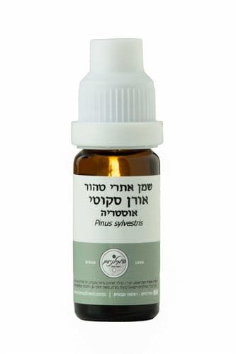 שמן אתרי טהור אורן סקוטי | 10 מל | המילניום