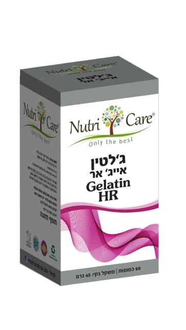 גלטין אייץ אר