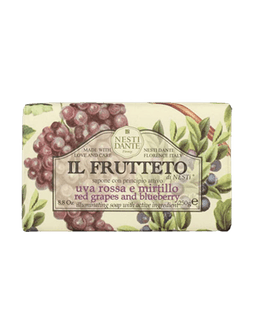סבון טבעי | עם תמציות | לא מכיל סולפטים ופרבנים | באישור מכון התקנים | מכיל 250 גרם נסטי דנטה | nesti dante