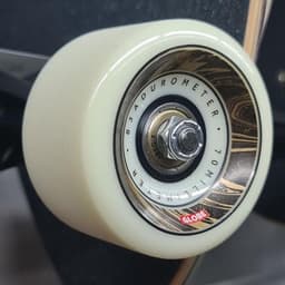 Globe Onshore Wheels 70mm 83A - GLOBE - גלגלים לסקייטבורד