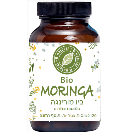 ביו מורינגה