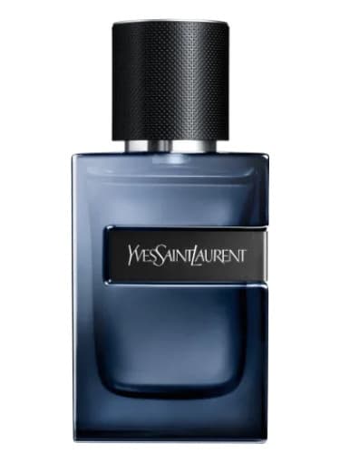 בושם לגבר איב סאן לורן טסטר YVES SAINT LAURENT Y LELIXIR 60 ML EDP TESTER