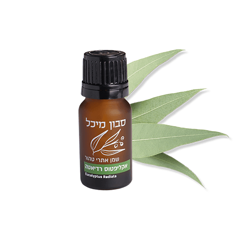 שמן אתרי אקליפטוס רדיאטה - 10ml
