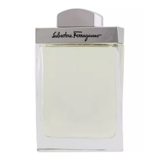 Perfumex - Salvatore Ferragamo Pour Homme EDT 100ml - בושם לגבר