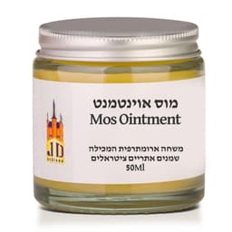 אירקשיין ERECTION