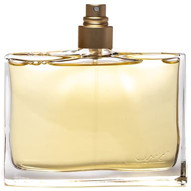 בושם לאישה קנזו גונגל טסטר KENZO JUNGLE 100 ML EDP TESTER