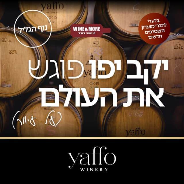 סדנת טעימות יקב יפו פוגש את העולם - נוף הגליל - 152