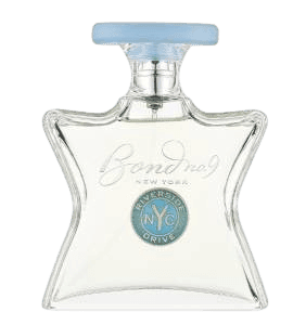 בושם טסטר יוניסקס 100 מל | BOND No9 Riverside Drive | או דה פרפיום EDP