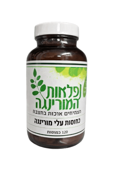 כמוסות עלי מורינגה | 120 כמוסות | כשר | נפלאות המורינגה