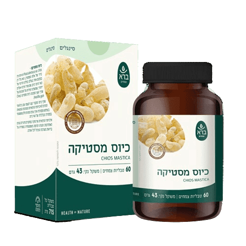 כיוס מסטיקה | מכיל 60 טבליות צמחים | תוסף תזונה | כשר | ברא צמחים | BARA