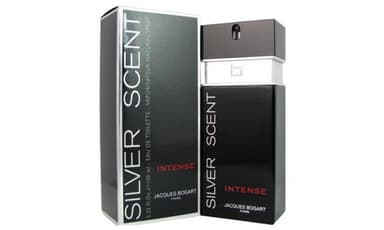 סילבר סנט אינטנס אדט Silver Scent intense edt