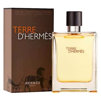 בושם לגבר הרמס HERMES TERRE DHERMES 100 ML EDT