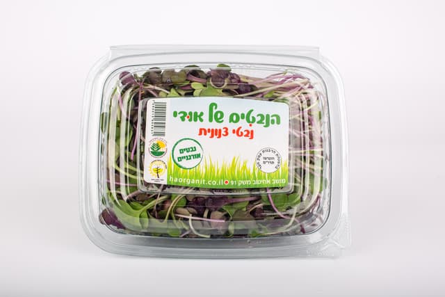 נבטי צנונית אורגני