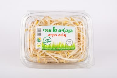 נבטים סינים אורגנים
