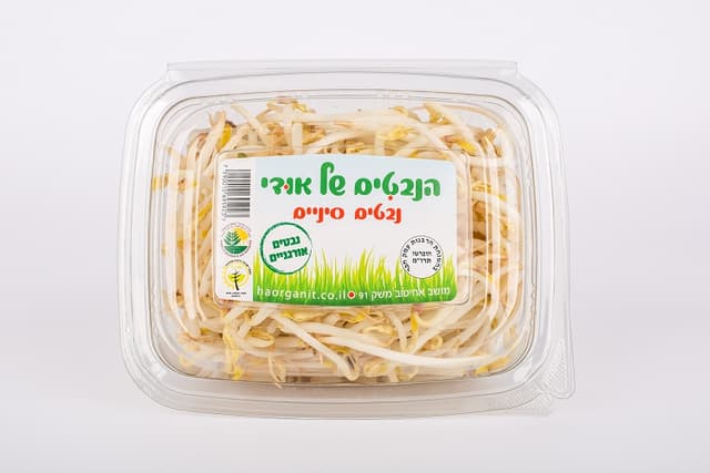 נבטים סינים אורגנים