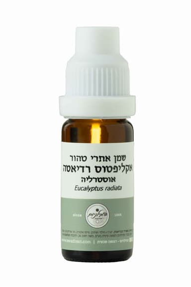 שמן אתרי טהור אקליפטוס רדיאטה | 10 מל |