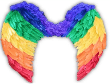 כנפיים מלאך צבעוני 60*45