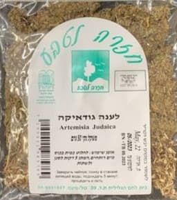 לענה גודאיקה - חזרה לטבע | אקו טבע