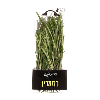 רוזמרין שדות בעמק