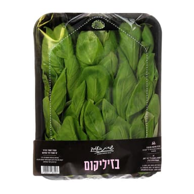 בזיליקום שדות בעמק