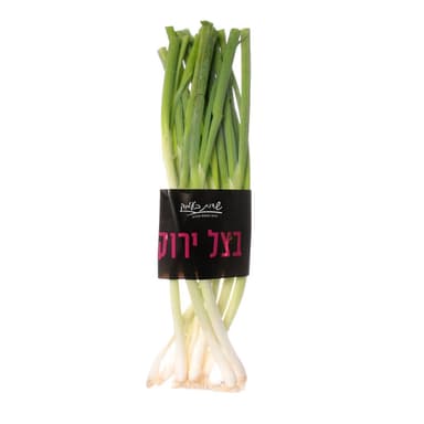 בצל ירוק שדות בעמק