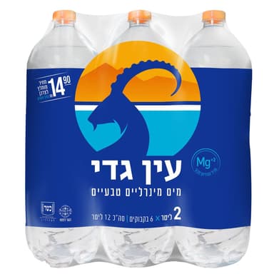 שישית מים מינרליים 2ל' עין גדי
