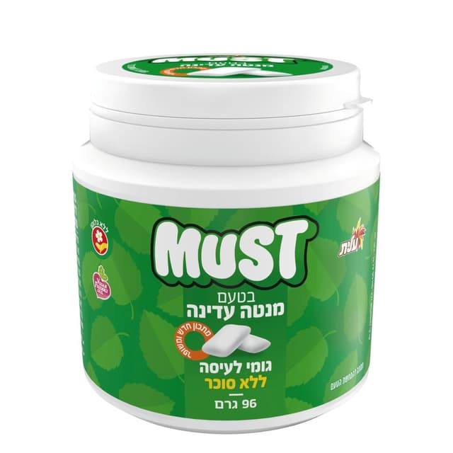 מאסט ביג מנטה עדינה צ`יקלט 96גר