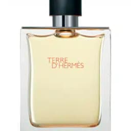 טרה דהרמס אדט Terre Dhermes edt 100ml