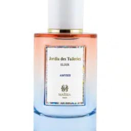גרדין דס טוילירס אמיריס JARDIN DES TUILERIES AMYRIS 100ml