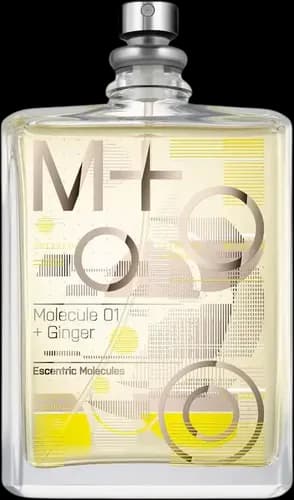 טסטר אסנטריק מולקולה 01 + גינגר א.ד.ט TESTER Molecule 01 + Ginger EDT 100ML