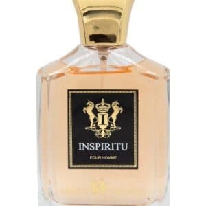 אינספריטו פור הומי inspiritu pour homme 100ml