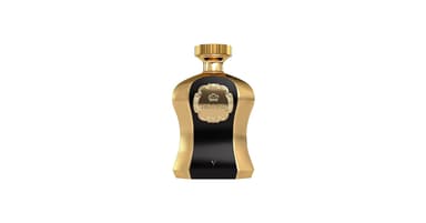 טסטר אפנאן הינס 10 אדפ Tester Afnan His Highness X Brown EDP 100ML