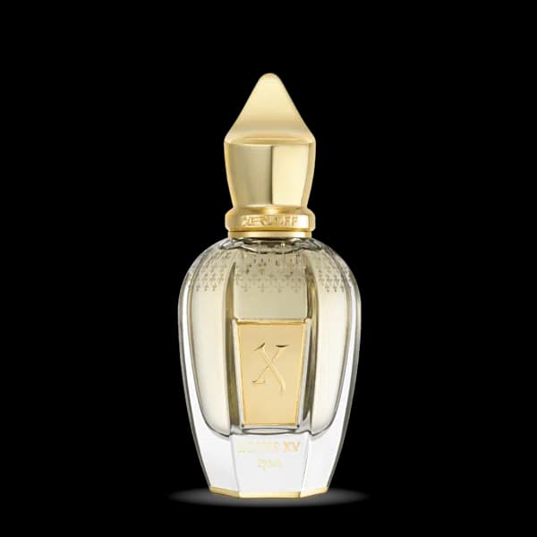 סרגוף לואיס xv אדפ XERJOFF LOUIS XV EDP 50ML
