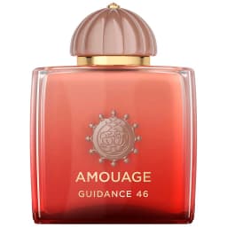 טסטר אמואג גאיידנס 46 אקסטרייט דה פרפיום יוניסקס Tester Amouage Guidance 46 Extrait de Parfum 100ML