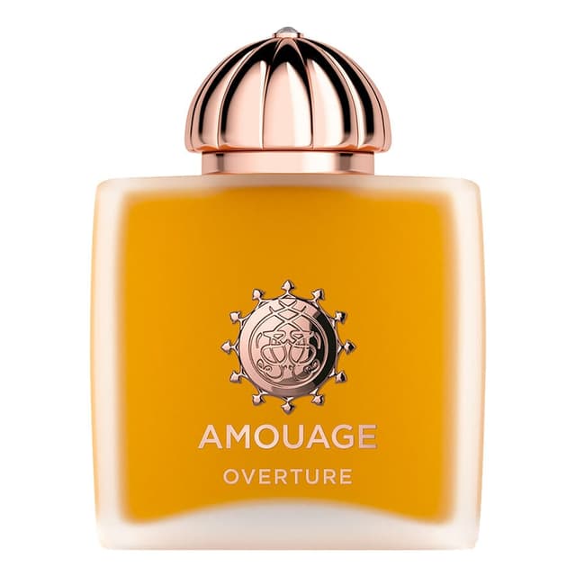 טסטר אמואג אוברטיור אדפ TESTER Amouage Overture EDP 100 ML
