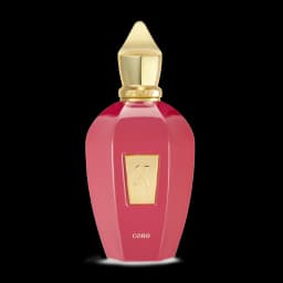 סרגוף קורו אדפ XERJOFF CORO EDP 100ML