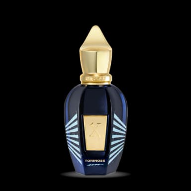סרגוף טורינו 25 א.ד.פ XERJOFF TORINO 25 EDP 50ML