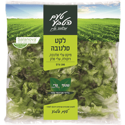 לקט סלנובה 200 גר
