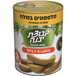 מלפפון 9-7 במלח 320ג